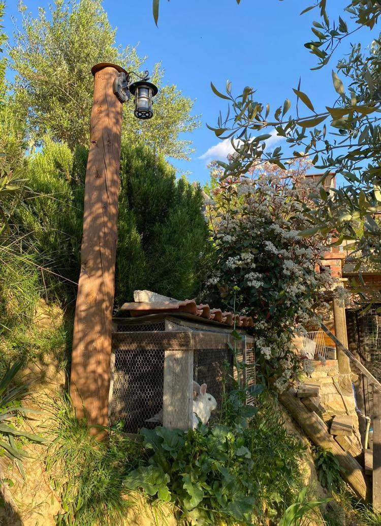 Villa Bujtina Salko à Mucaj Extérieur photo